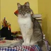 Отзыв от Анжелика Пахомова